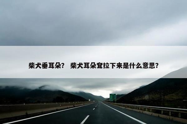 柴犬垂耳朵？ 柴犬耳朵耷拉下来是什么意思？