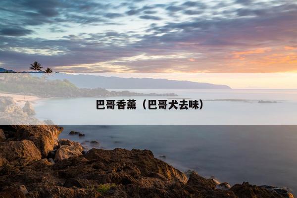巴哥香薰（巴哥犬去味）