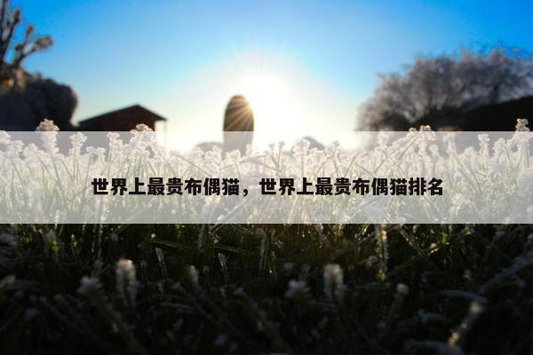世界上最贵布偶猫，世界上最贵布偶猫排名
