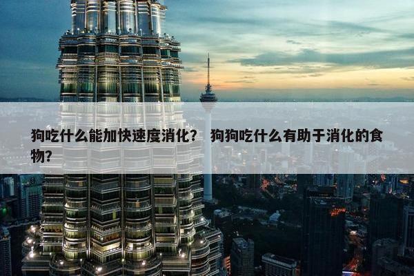 狗吃什么能加快速度消化？ 狗狗吃什么有助于消化的食物？