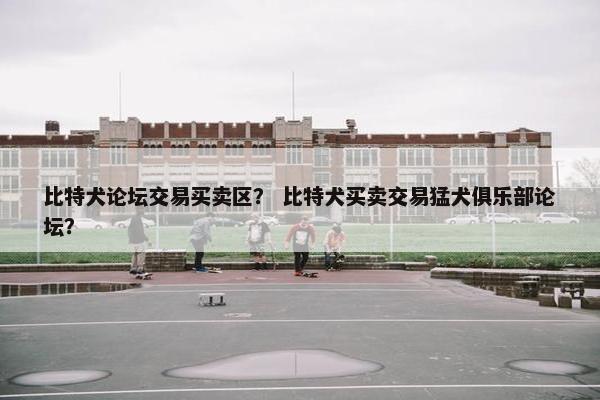 比特犬论坛交易买卖区？ 比特犬买卖交易猛犬俱乐部论坛？