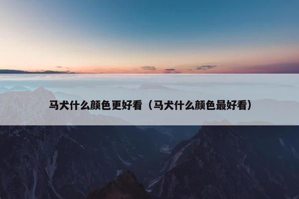 马犬什么颜色更好看（马犬什么颜色最好看）