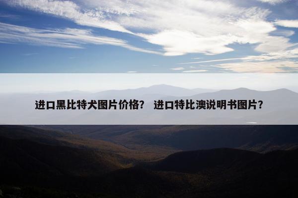 进口黑比特犬图片价格？ 进口特比澳说明书图片？