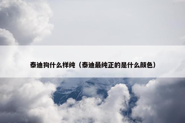 泰迪狗什么样纯（泰迪最纯正的是什么颜色）