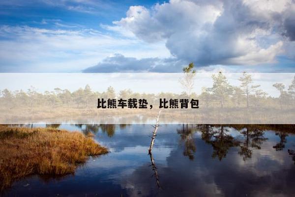 比熊车载垫，比熊背包