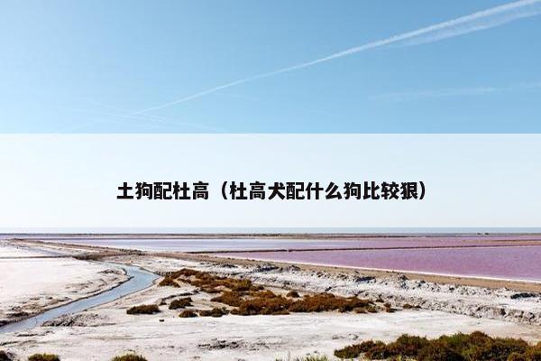 土狗配杜高（杜高犬配什么狗比较狠）