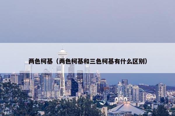 两色柯基（两色柯基和三色柯基有什么区别）
