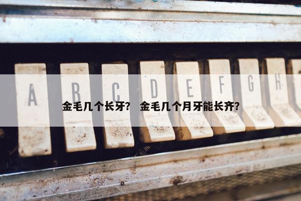 金毛几个长牙？ 金毛几个月牙能长齐？