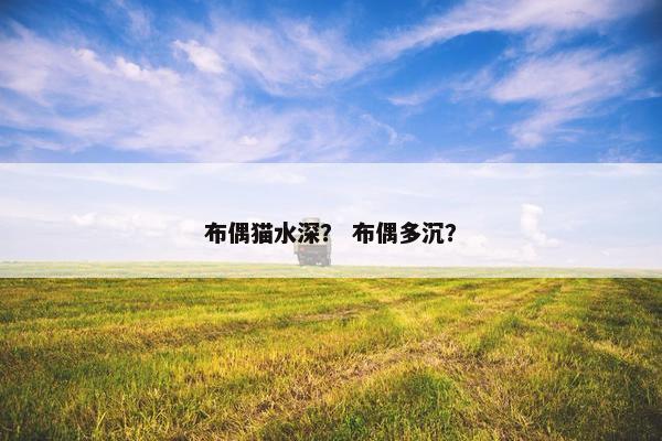 布偶猫水深？ 布偶多沉？