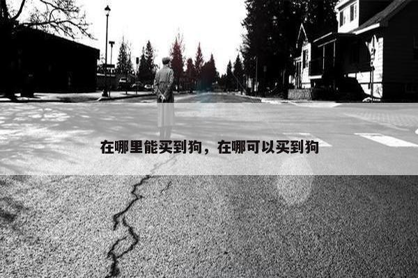 在哪里能买到狗，在哪可以买到狗