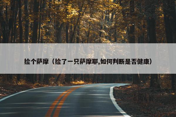 捡个萨摩（捡了一只萨摩耶,如何判断是否健康）