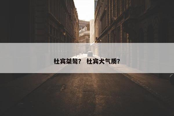 杜宾桀骜？ 杜宾犬气质？