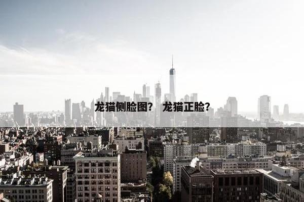 龙猫侧脸图？ 龙猫正脸？
