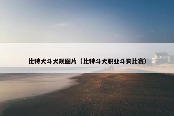 比特犬斗犬规图片（比特斗犬职业斗狗比赛）