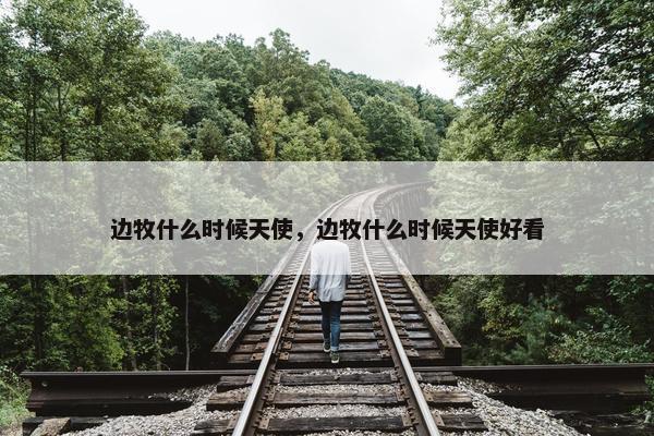 边牧什么时候天使，边牧什么时候天使好看