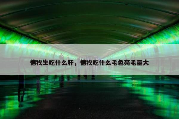 德牧生吃什么肝，德牧吃什么毛色亮毛量大