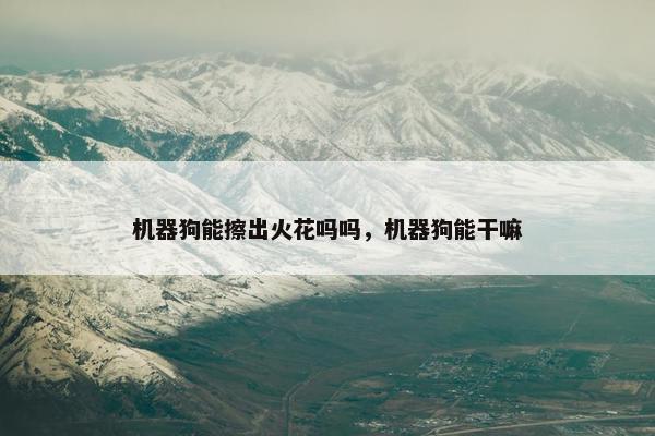 机器狗能擦出火花吗吗，机器狗能干嘛