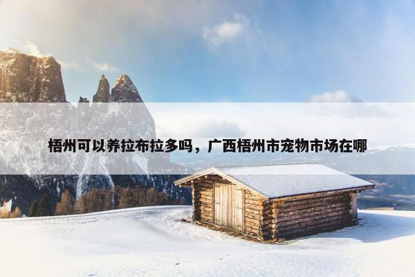 梧州可以养拉布拉多吗，广西梧州市宠物市场在哪
