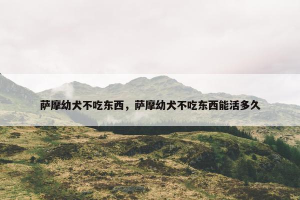 萨摩幼犬不吃东西，萨摩幼犬不吃东西能活多久