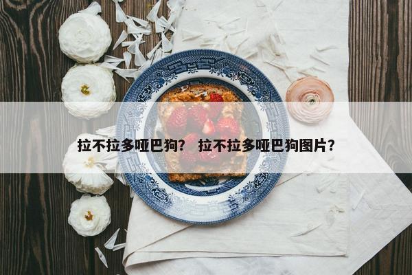 拉不拉多哑巴狗？ 拉不拉多哑巴狗图片？