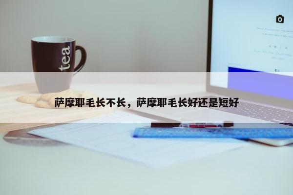 萨摩耶毛长不长，萨摩耶毛长好还是短好
