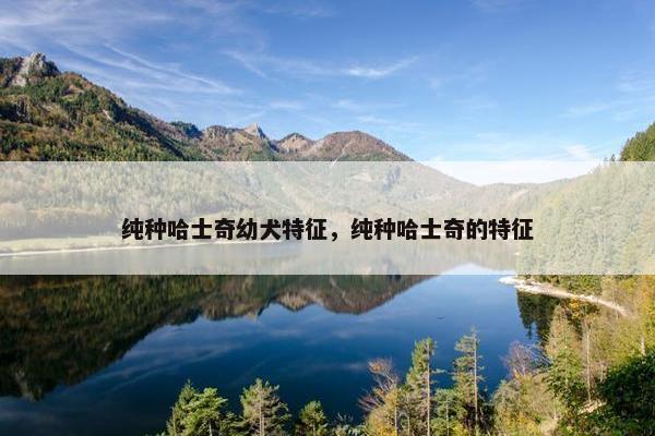 纯种哈士奇幼犬特征，纯种哈士奇的特征