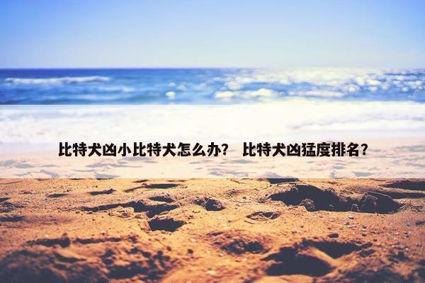 比特犬凶小比特犬怎么办？ 比特犬凶猛度排名？