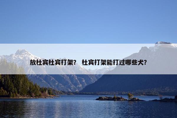 放杜宾杜宾打架？ 杜宾打架能打过哪些犬？