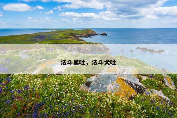 法斗累吐，法斗犬吐