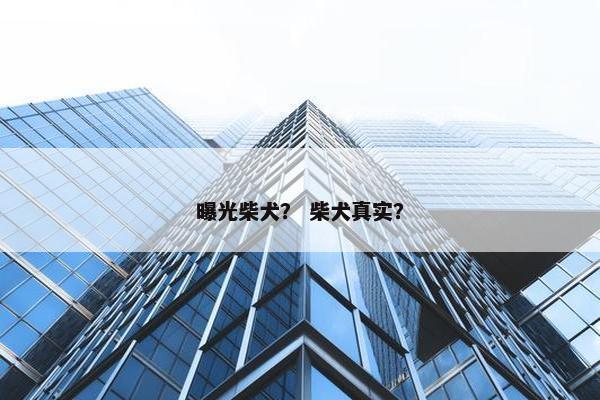 曝光柴犬？ 柴犬真实？