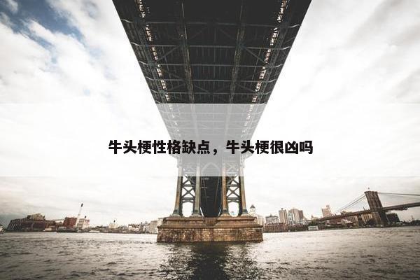 牛头梗性格缺点，牛头梗很凶吗