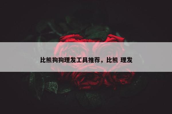 比熊狗狗理发工具推荐，比熊 理发