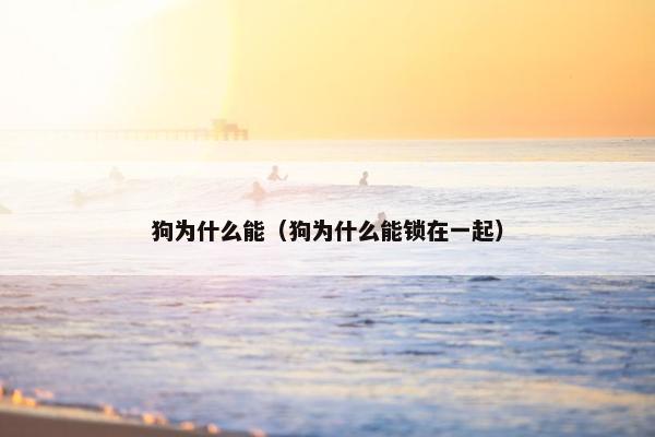 狗为什么能（狗为什么能锁在一起）