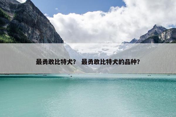最勇敢比特犬？ 最勇敢比特犬的品种？
