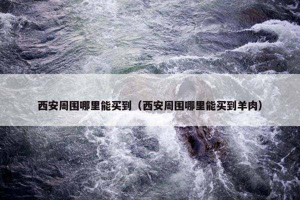 西安周围哪里能买到（西安周围哪里能买到羊肉）