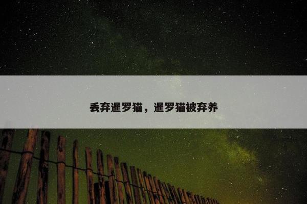 丢弃暹罗猫，暹罗猫被弃养
