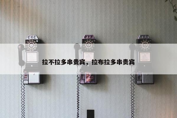 拉不拉多串贵宾，拉布拉多串贵宾