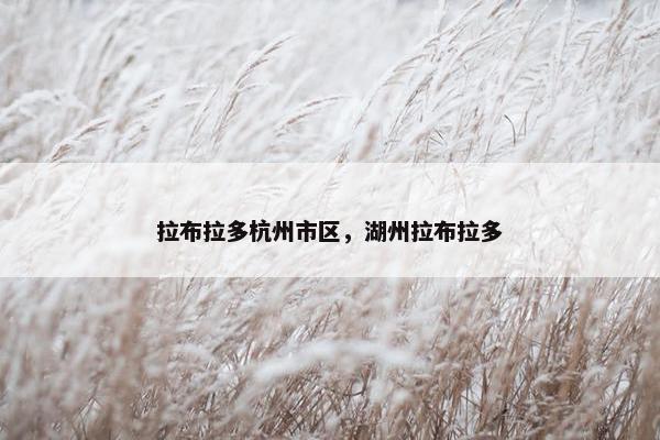 拉布拉多杭州市区，湖州拉布拉多