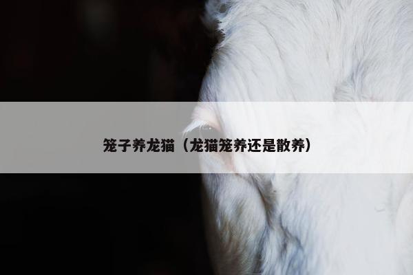 笼子养龙猫（龙猫笼养还是散养）