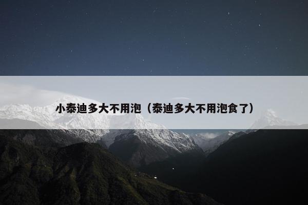 小泰迪多大不用泡（泰迪多大不用泡食了）