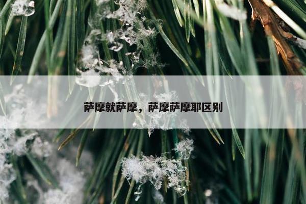 萨摩就萨摩，萨摩萨摩耶区别