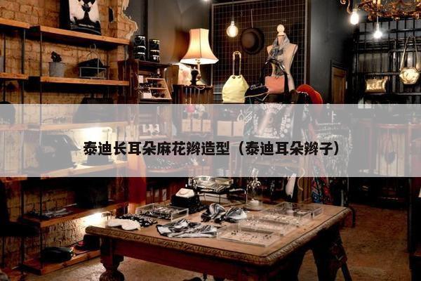 泰迪长耳朵麻花辫造型（泰迪耳朵辫子）