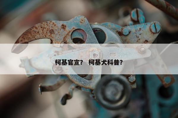 柯基官宣？ 柯基犬科普？