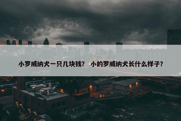小罗威纳犬一只几块钱？ 小的罗威纳犬长什么样子？