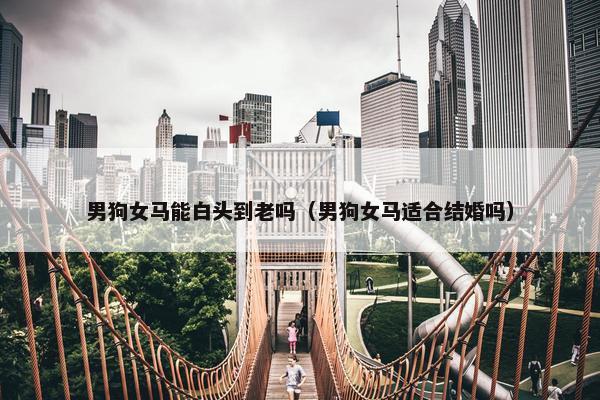 男狗女马能白头到老吗（男狗女马适合结婚吗）