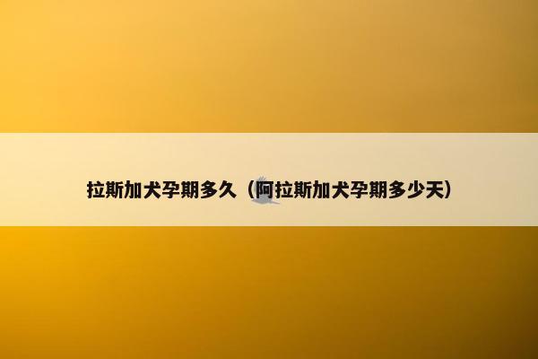 拉斯加犬孕期多久（阿拉斯加犬孕期多少天）