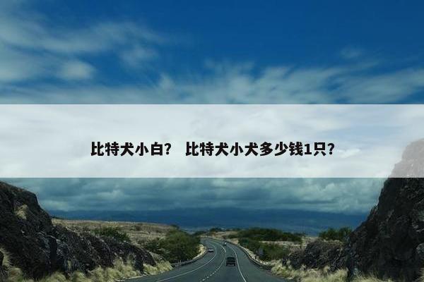 比特犬小白？ 比特犬小犬多少钱1只？