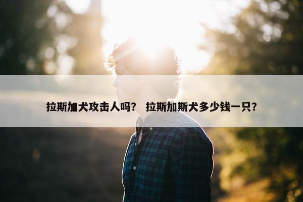 拉斯加犬攻击人吗？ 拉斯加斯犬多少钱一只？