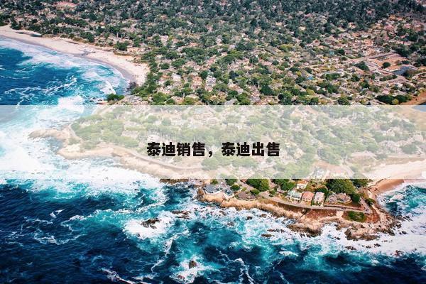 泰迪销售，泰迪出售