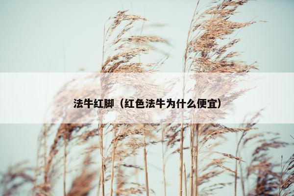 法牛红脚（红色法牛为什么便宜）